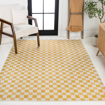 Aimee Traditional Cottage Checkerboard Indoor/Outdoor Area Rug